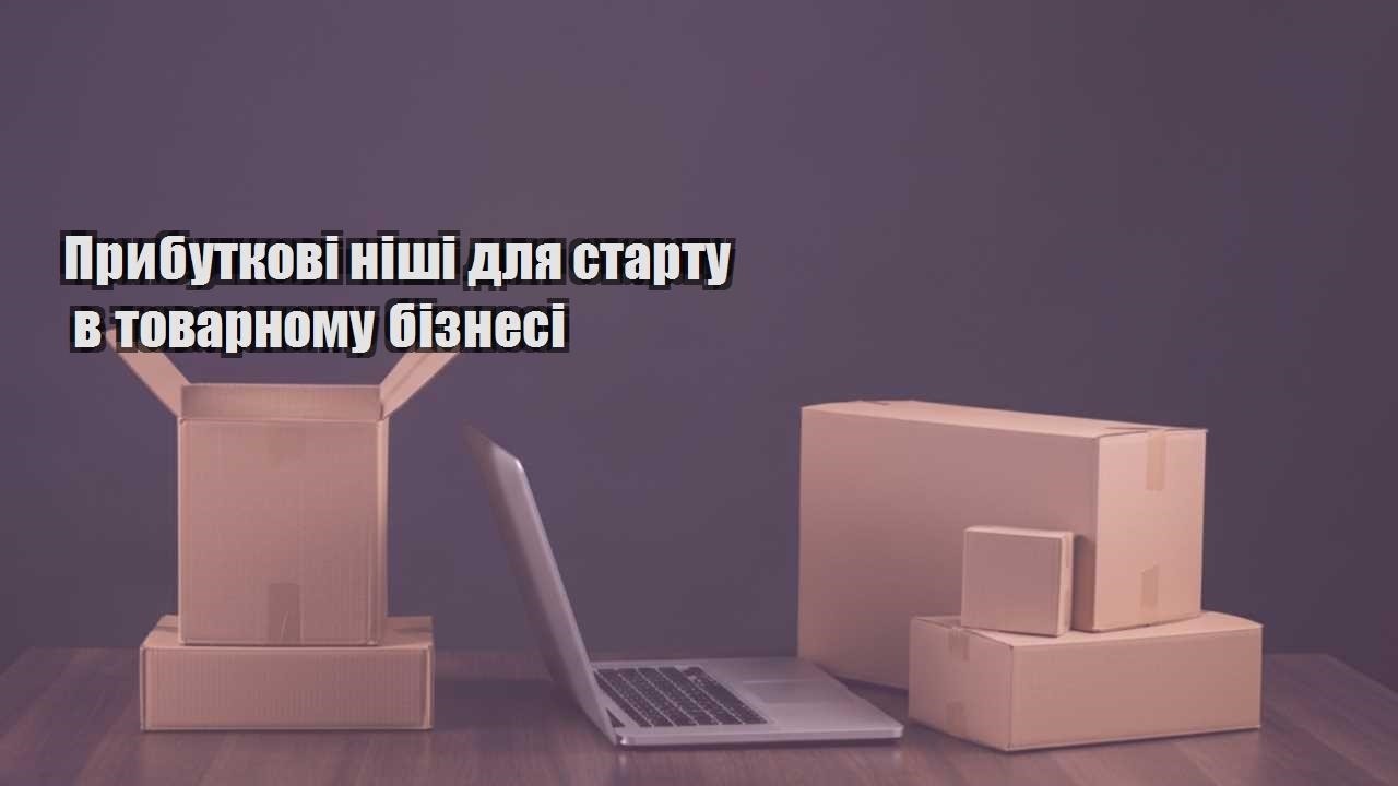 prybutkovi nishi dlya startu v tovarnomu biznesi